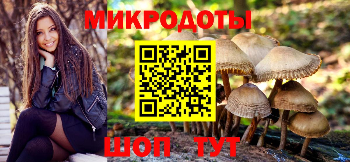 Унеча  где купить наркоту  Вход с VPN  Галлюциногенные грибы Cubensis 