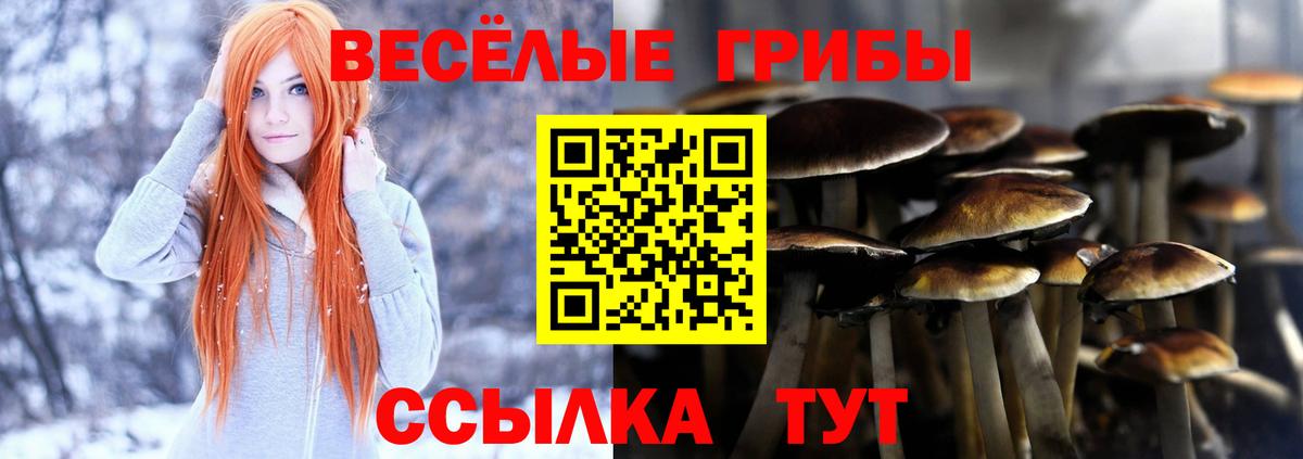 Псилоцибиновые грибы прущие грибы Унеча